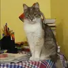 Отзыв от Эльмира Румянцева